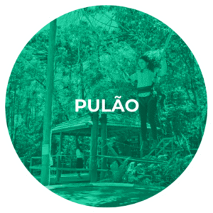 Pulão