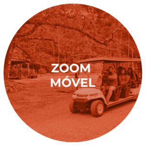 Zoom Móvel